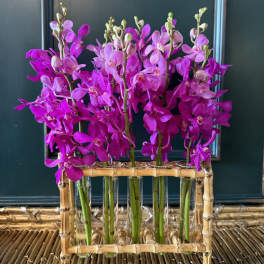 Pink orchids arranged in glass tubes inside a bamboo holder