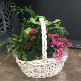 White wicker basket with potted plants and pink flowering succulents