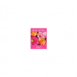 Pink gift card with flowers and the words "deal of the day!"