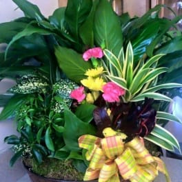 Tropical plant arrangement with pink and yellow flowers in a basket