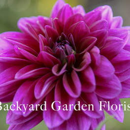 Backyard Garden Florist Gift Certificate