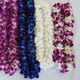 Four orchid leis in purple, blue, white, and magenta