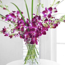 Purple orchids arranged in a clear glass vase
