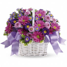 Basket of purple and pink daisies with a lavender ribbon
