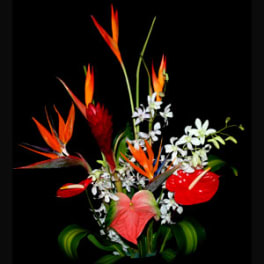Tropical floral arrangement with orange bird-of-paradise and red anthuriums