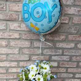 Baby boy balloon with white daisies and blue flowers in a glass cube vase.