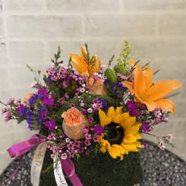 Short mossy cube arrangement with orange lilies, sunflower, peach roses, and pink filler flowers with ribbons.