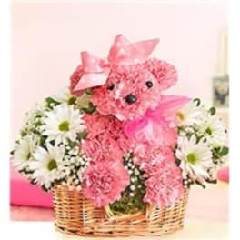 Pink teddy bear in a basket surrounded by white daisies