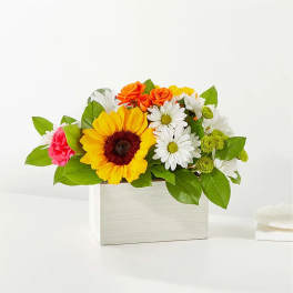 Mixed bouquet with a sunflower, daisies, and orange roses in a white box