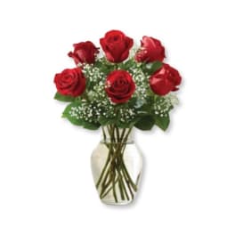 Red roses arranged in a clear glass vase