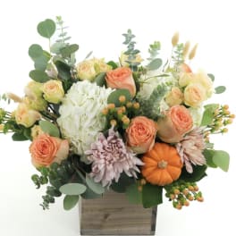 Mixed bouquet in a wooden box with peach roses, white hydrangea, and a small pumpkin
