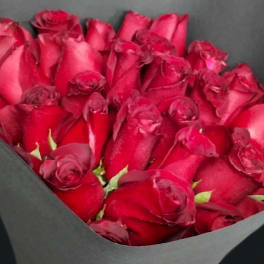 Bouquet of tightly packed red roses wrapped in black paper