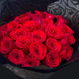 Tight bouquet of vivid red roses wrapped in embossed black paper