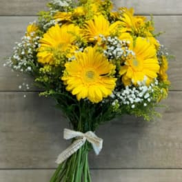 Bouquet of bright yellow gerbera daisies with white filler flowers tied with a lace ribbon