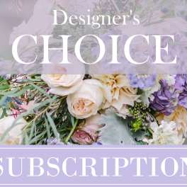 Designer's Choice Monthly Subscription - 6 Months