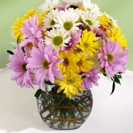 Bouquet of pink, yellow, and white daisies in a glass vase