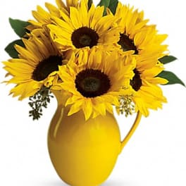 Teleflora's Sunny Day Pitcher of Sunflowers