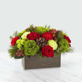 Red roses and green carnations in a rectangular box with pinecones