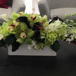 Low floral centerpiece with white and green orchids in a rectangular container
