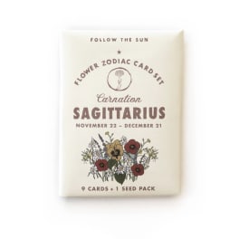 Sagittarius flower zodiac card set with carnation artwork