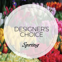 Spring tulips in many colors with a "Designer’s Choice" label