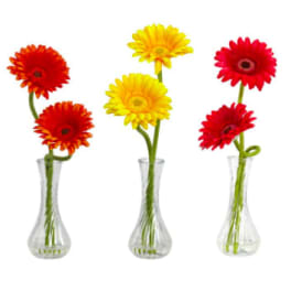 Gerber Daisy's with bud vases 3 piece set