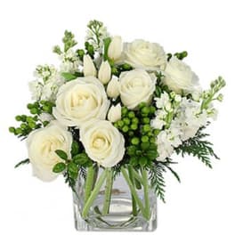 Low white rose and tulip arrangement with green berries in a clear glass cube vase