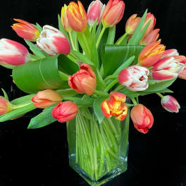 Orange, pink, and white tulips arranged in a clear glass vase against a black background