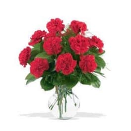 Bouquet of red carnations in a clear glass vase