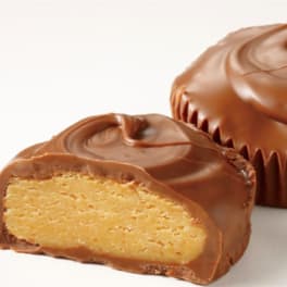Chocolate-covered peanut butter candy pieces on a white background