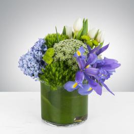 Compact arrangement of purple irises, white tulips, and blue blooms in a green-lined glass vase