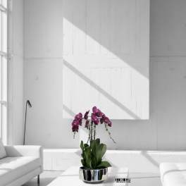 Purple orchids in a silver pot on a white table