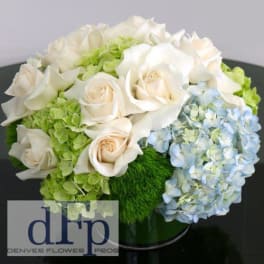 White roses and pale hydrangeas arranged in a low round bouquet