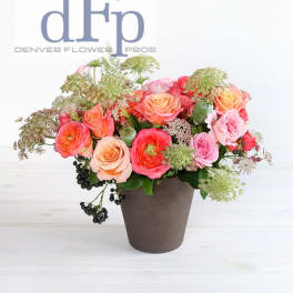 Mixed pink and peach roses in a brown pot