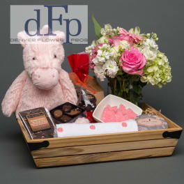 Baby Girl Flowers and Gift