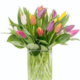 Colorful tulips arranged in a clear glass vase