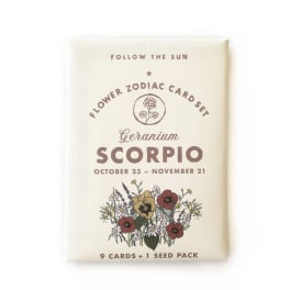 Scorpio flower zodiac card set package with illustrated blooms
