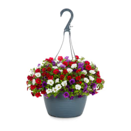 Hanging basket of red, white, and purple flowers in a gray planter