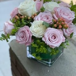 Pink and white roses arranged in a square glass vase