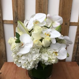 White orchid and rose arrangement in a dark glass vase