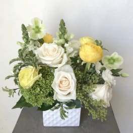 White and yellow rose arrangement in a white square vase