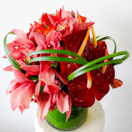 Red and pink tropical bouquet in a glass vase
