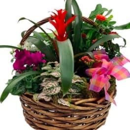 Tropical flower basket with red blooms and purple orchids in a wicker basket