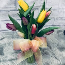 Bouquet of multicolored tulips tied with a sheer ribbon