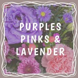Purple and pink flowers with the words "PURPLES PINKS & LAVENDER"