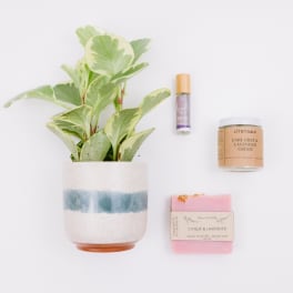 Potted plant with a candle, soap, and small bottle arranged beside it