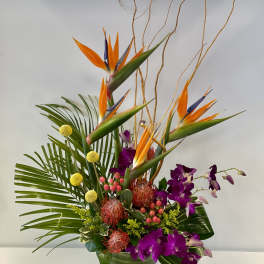Tropical arrangement with orange bird of paradise and purple orchids in a glass vase