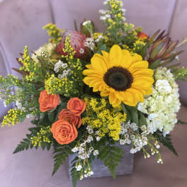 Bouquet with a sunflower, orange roses, and white hydrangea in a square vase