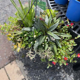 Hanging succulent planter with mixed green plants and small pink flowers