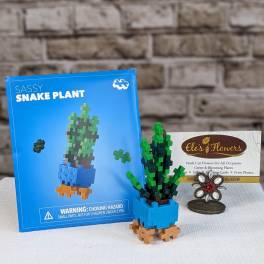 Toy snake plant in a blue block-style pot beside its box